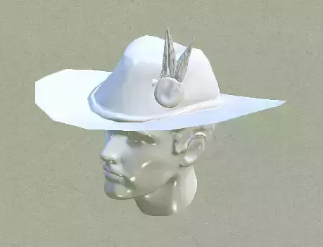 Cowboy Head