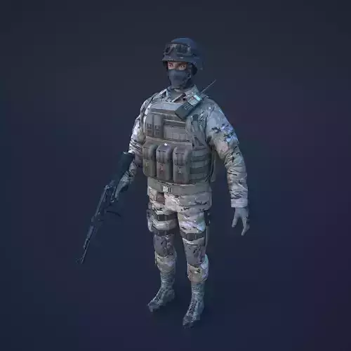 Soldier in camouflage