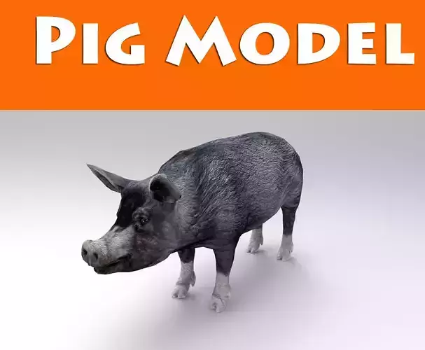 3D Black Wild Pig game ready low poly  Low-poly 3D model