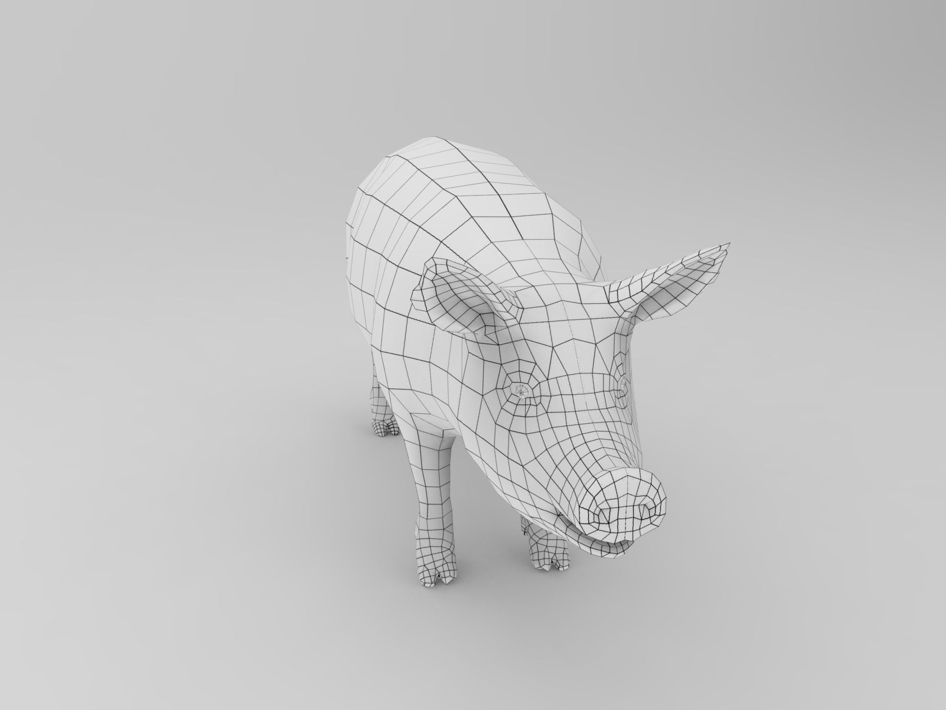 3D Black Wild Pig game ready low poly  Low-poly 3D model_28