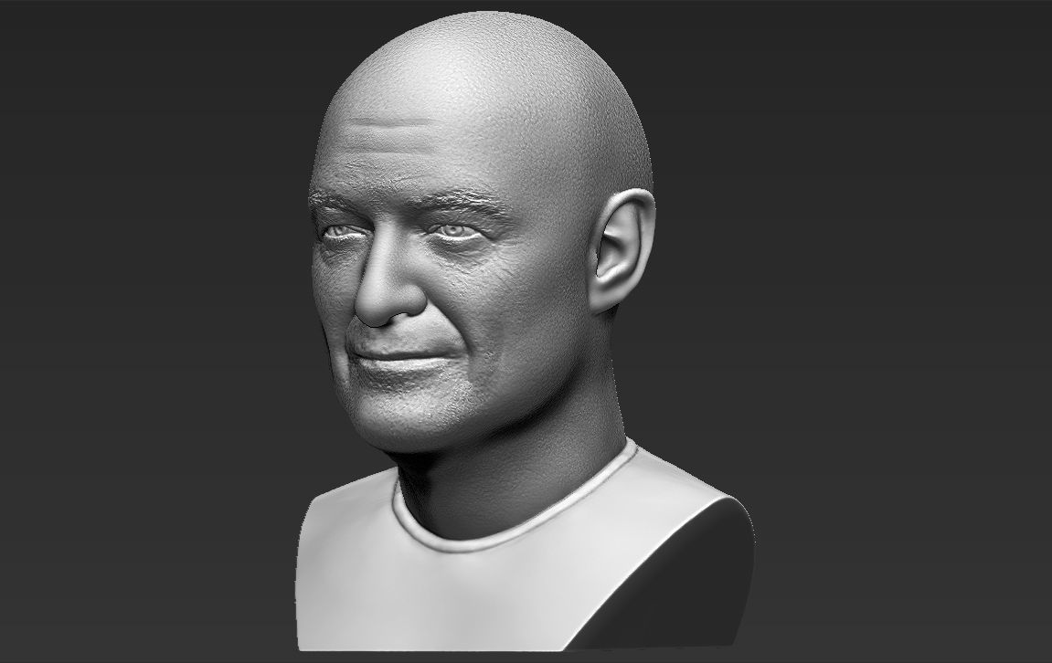 John Locke from Lost bust 3D printing ready stl obj formats 3D print model_7