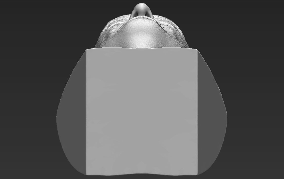 John Locke from Lost bust 3D printing ready stl obj formats 3D print model_28