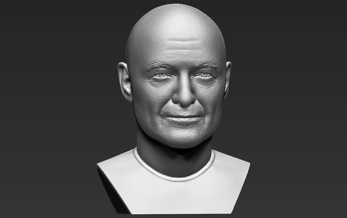 John Locke from Lost bust 3D printing ready stl obj formats 3D print model_16