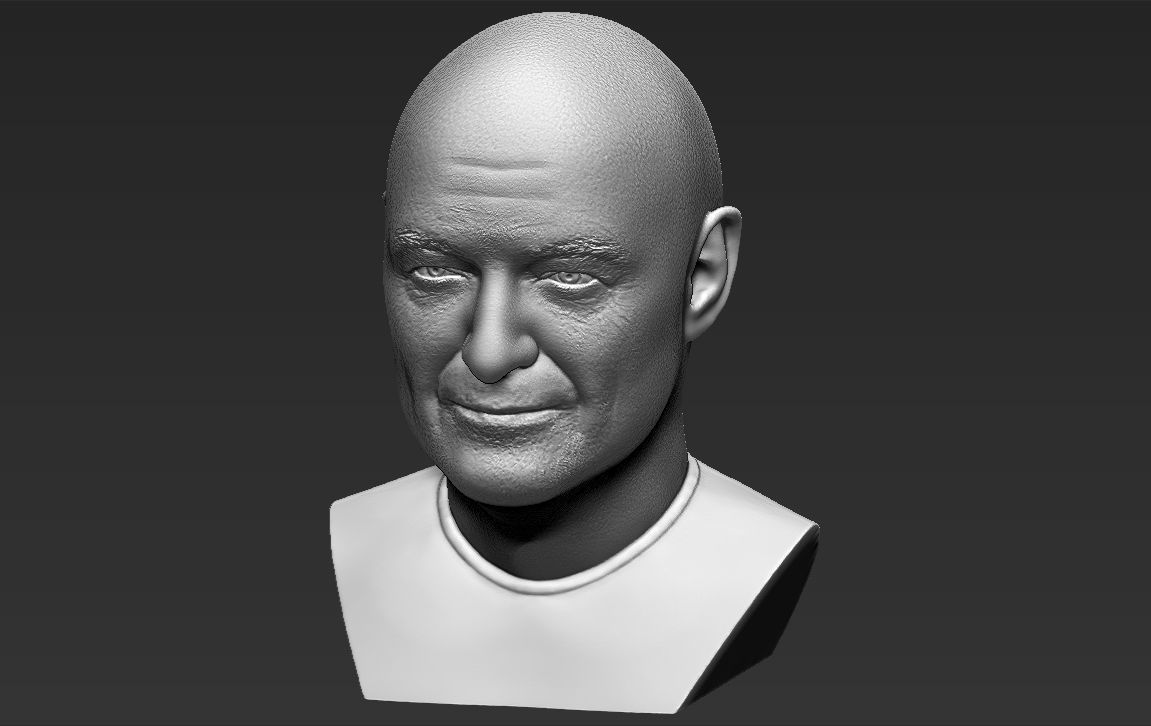 John Locke from Lost bust 3D printing ready stl obj formats 3D print model_18