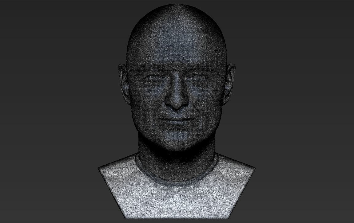 John Locke from Lost bust 3D printing ready stl obj formats 3D print model_29