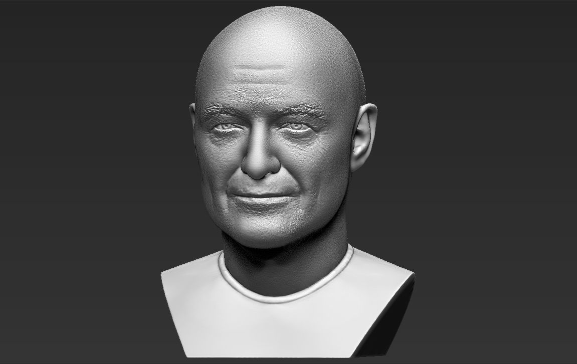 John Locke from Lost bust 3D printing ready stl obj formats 3D print model_6