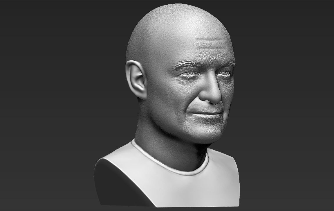 John Locke from Lost bust 3D printing ready stl obj formats 3D print model_15