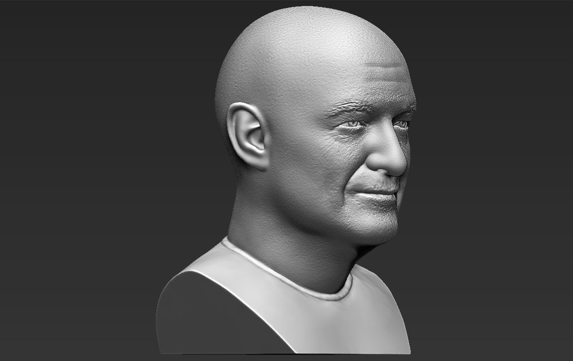 John Locke from Lost bust 3D printing ready stl obj formats 3D print model_14