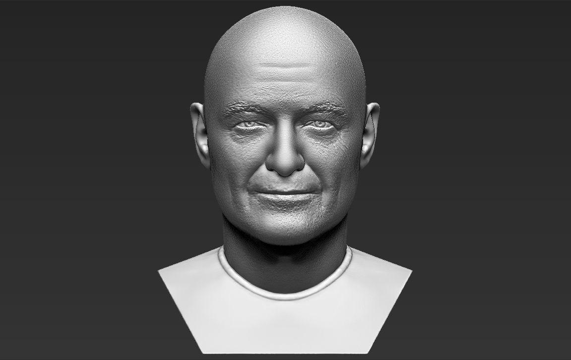 John Locke from Lost bust 3D printing ready stl obj formats 3D print model_5