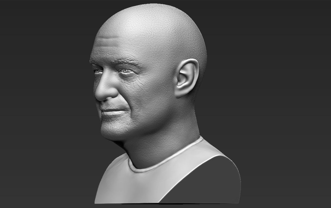 John Locke from Lost bust 3D printing ready stl obj formats 3D print model_8
