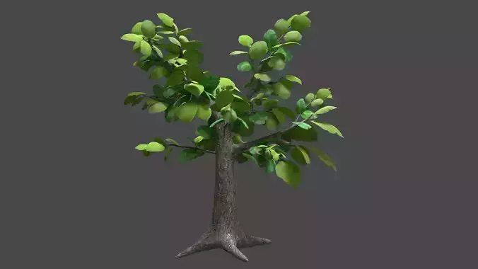 Sagwan tree Low-poly 3D model