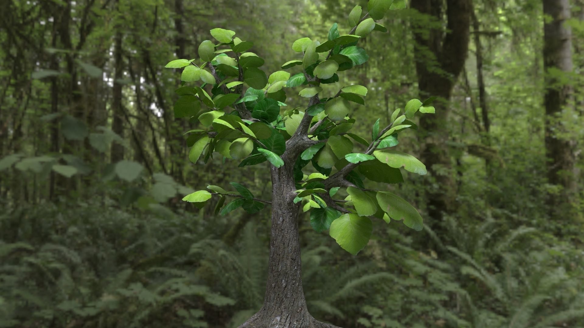 Sagwan tree Low-poly 3D model_4