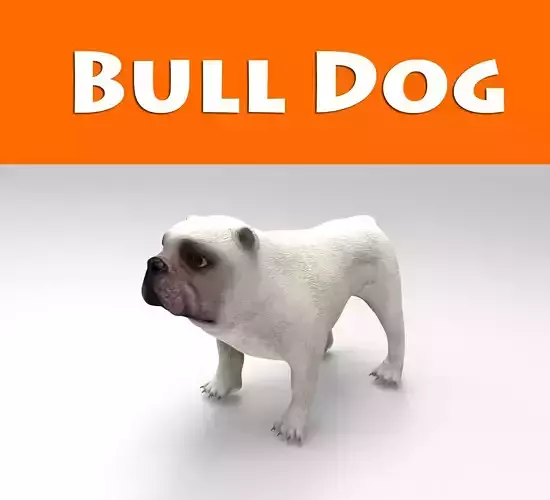 BullDog game ready low poly Model -