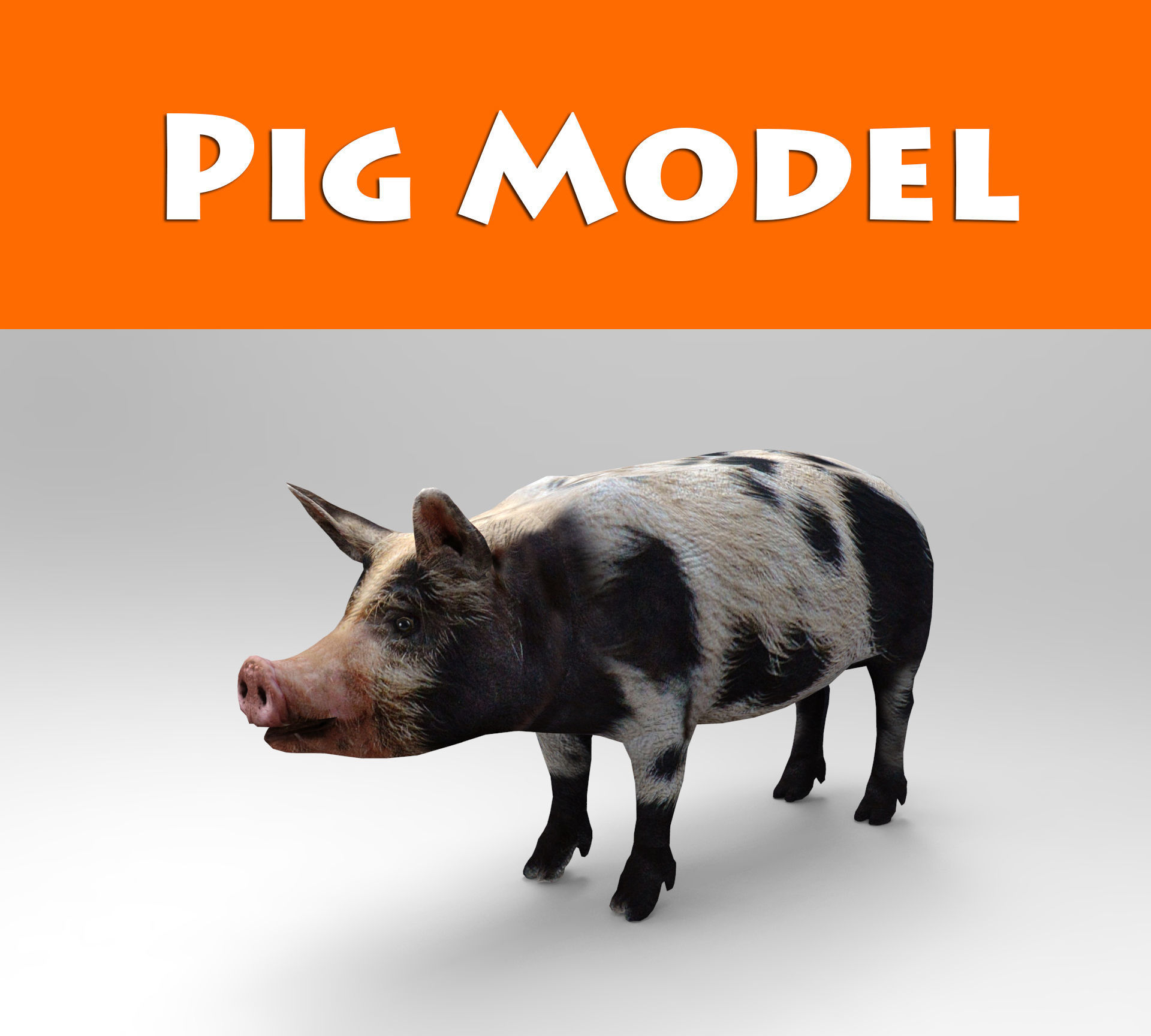 Black Wild Pig low poly 3D model