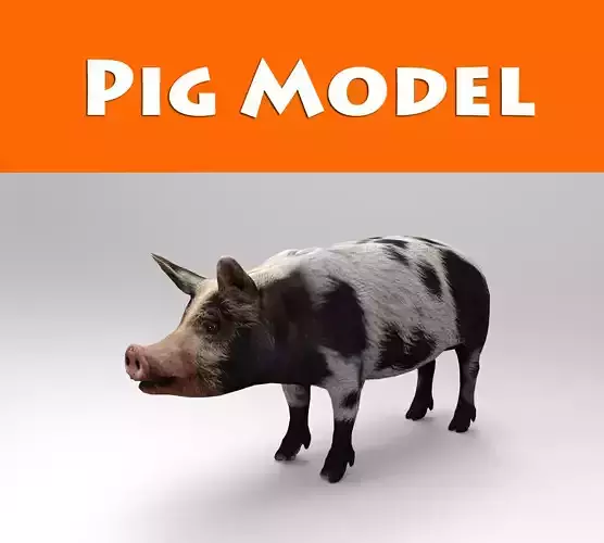 Black Wild Pig low poly 3D model Low-poly 3D model