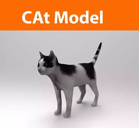 White Black Cat model 3D 
