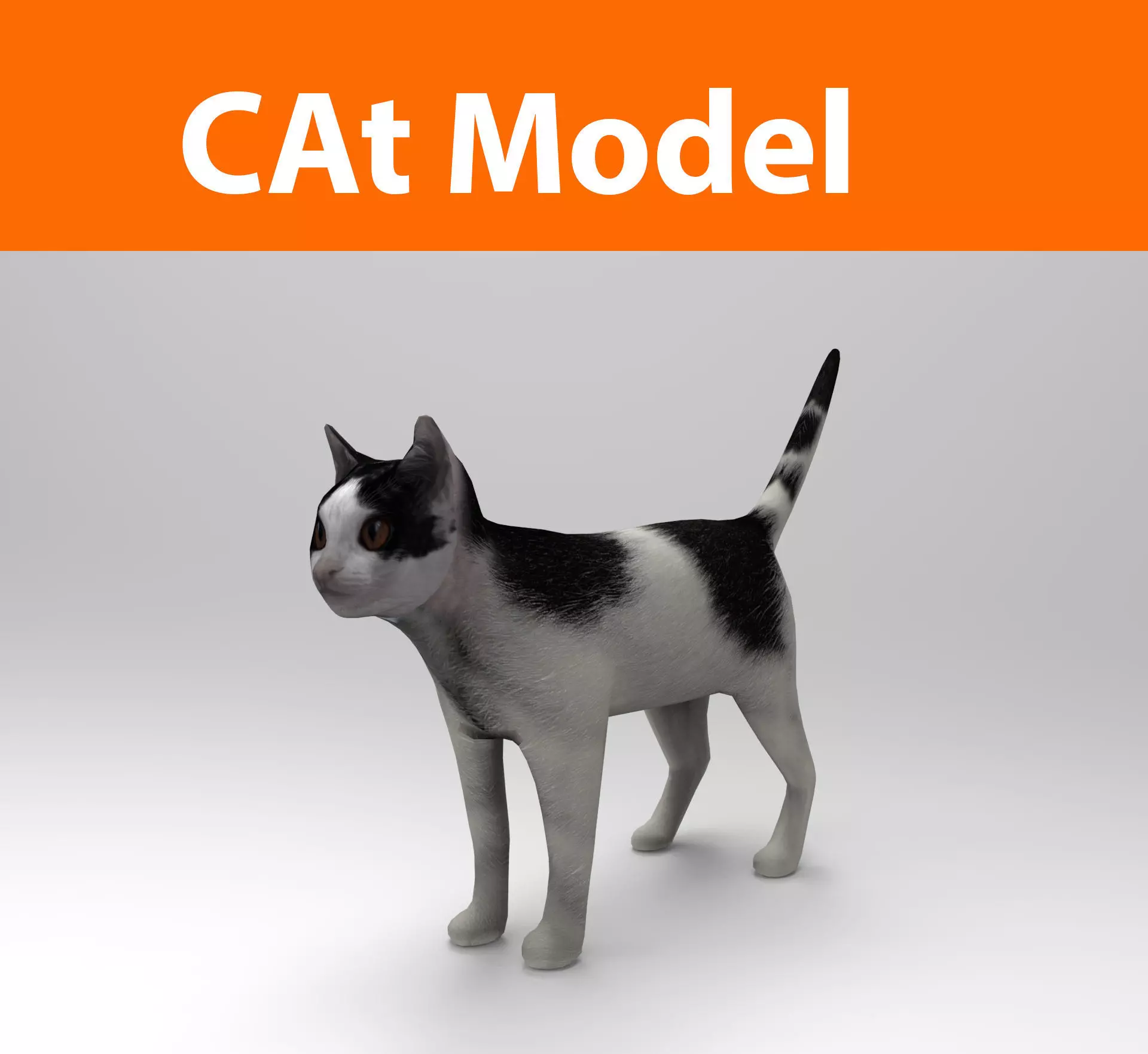 White Black Cat model 3D Low-poly 3D model_0