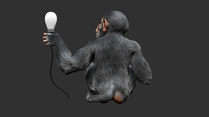 Monkey Holding lamp 3D print model