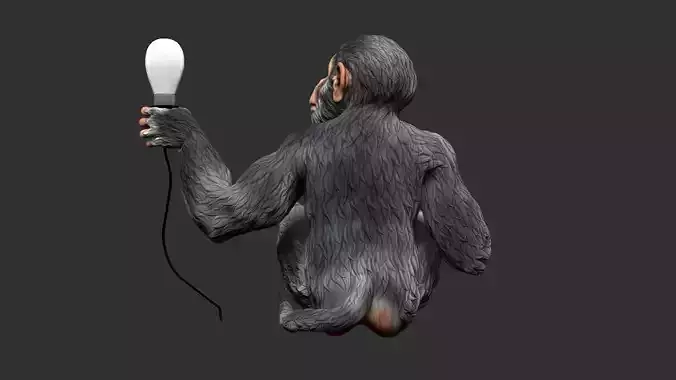 Monkey Holding lamp