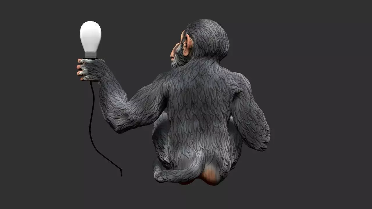 Monkey Holding lamp 3D print model