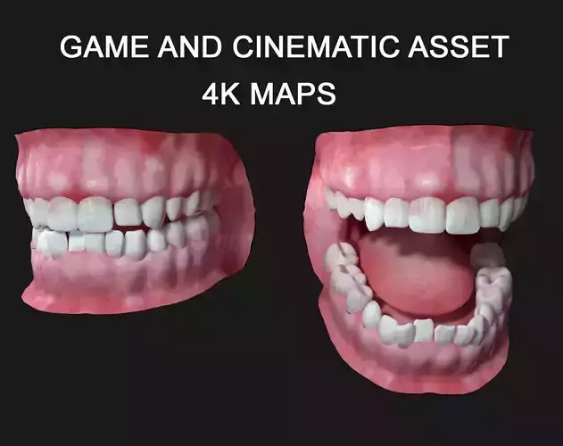 Teeth Asset  3D model