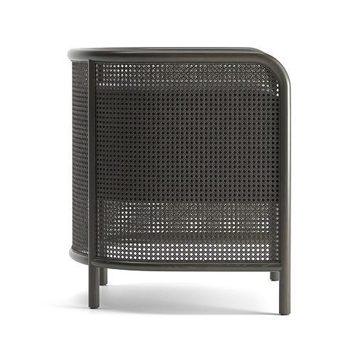 Fields Cane Back Accent Chair 3D model 6