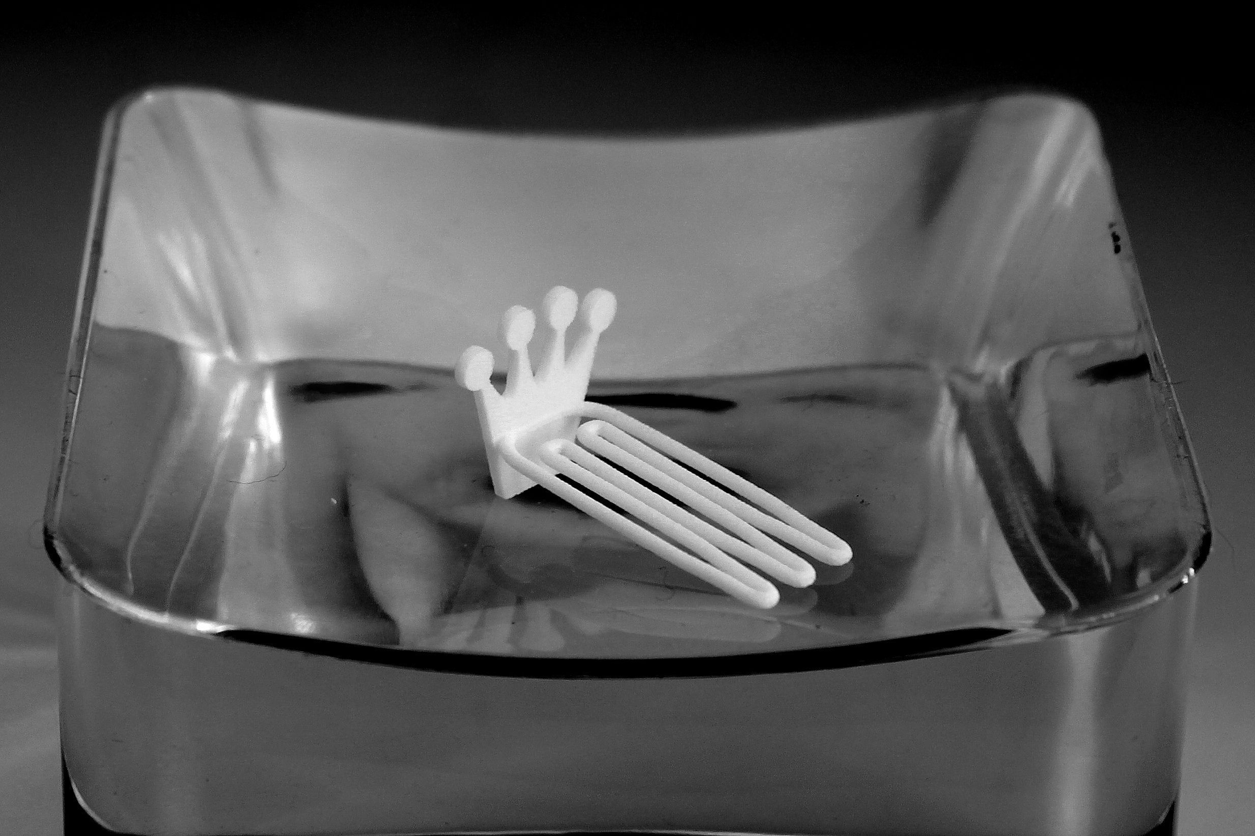 Crown for beard - front wearing 3D print model_3