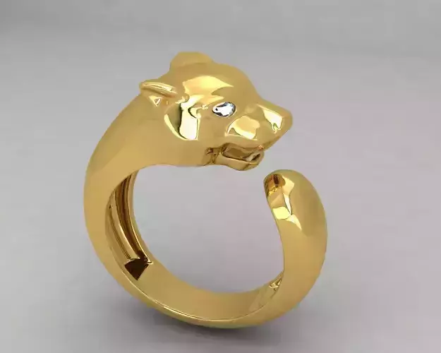 DRing-13 3D print model