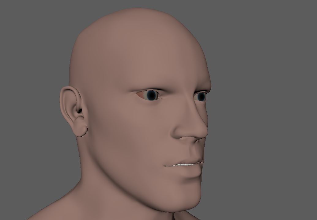 Male-3d model male mannequin 3D model_6