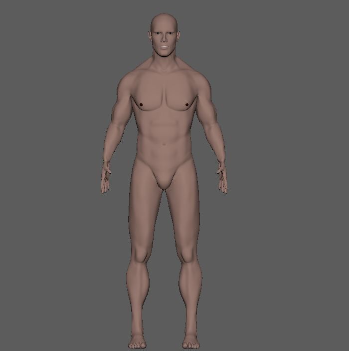Male-3d model male mannequin 3D model_4