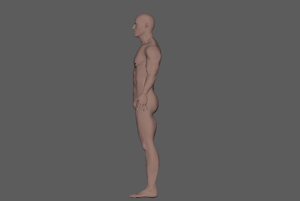 Male-3d model male mannequin 3D model_8