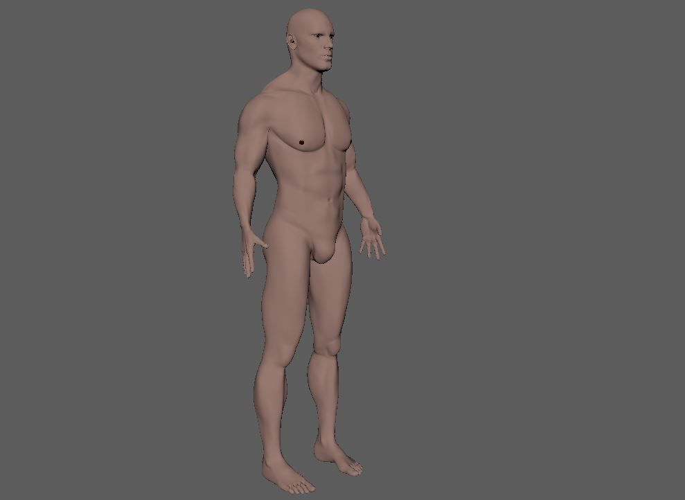 Male-3d model male mannequin 3D model_1
