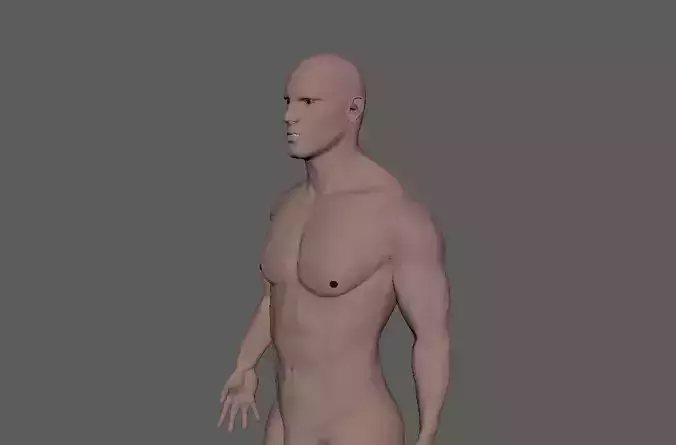 Male-3d model male mannequin