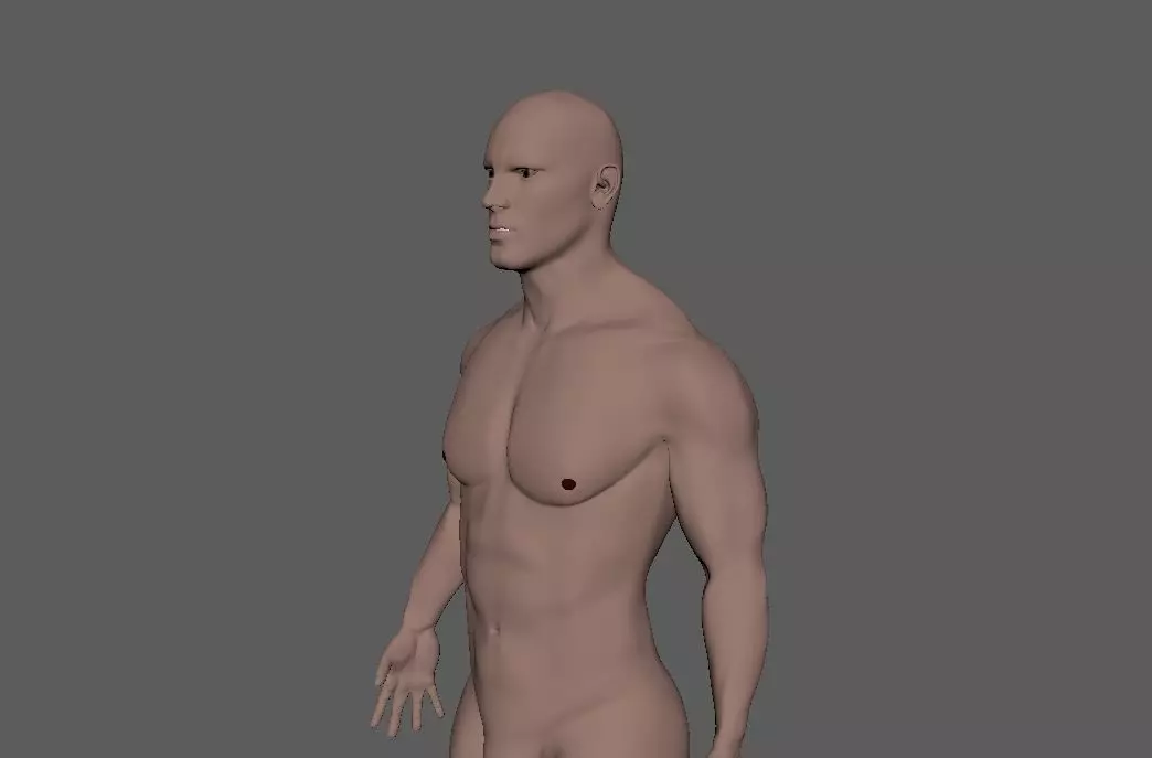 Male-3d model male mannequin 3D model_0