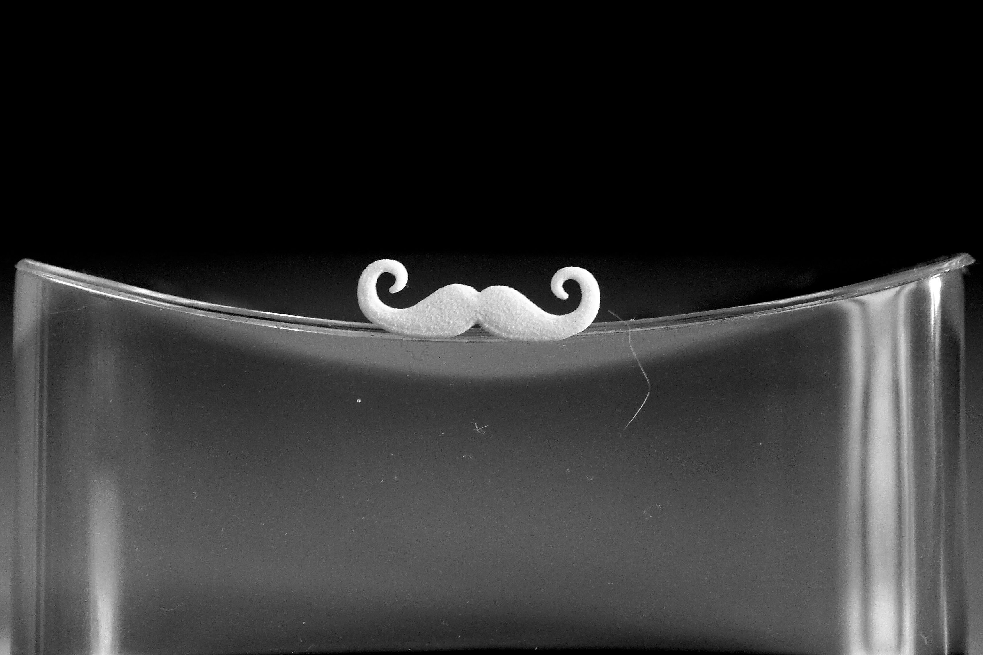 Mustache for beard - front wearing 3D print model_2