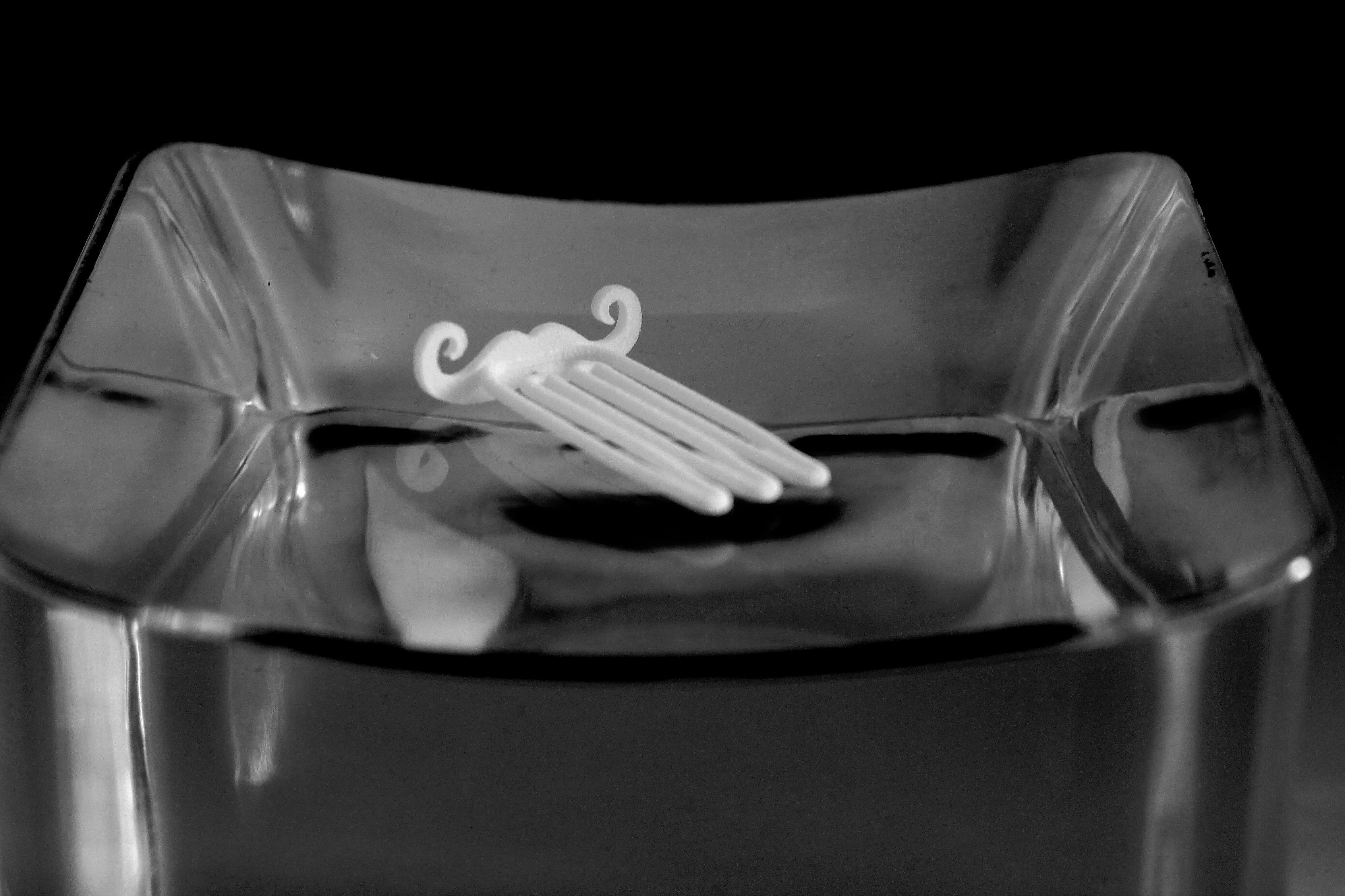 Mustache for beard - front wearing 3D print model_3