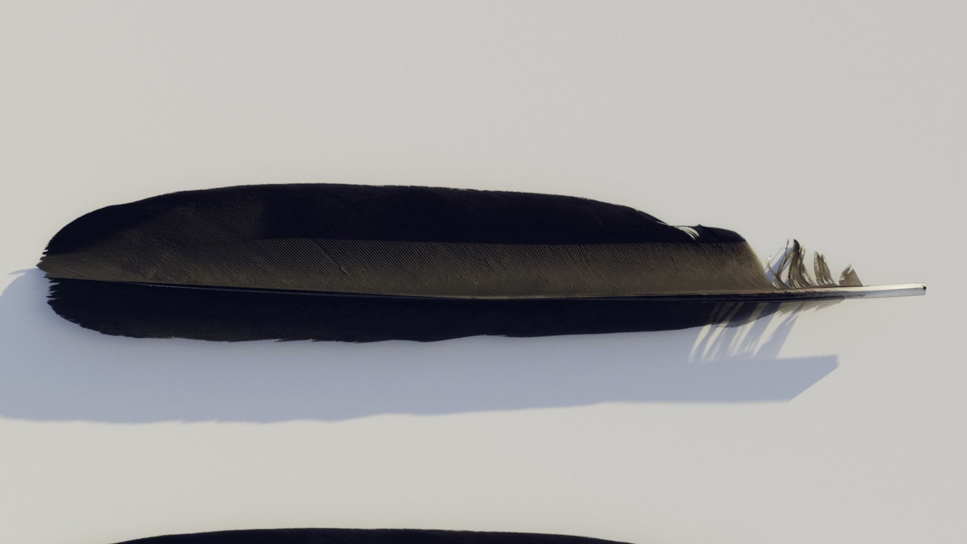feathers - photoscanned Low-poly 3D model_5