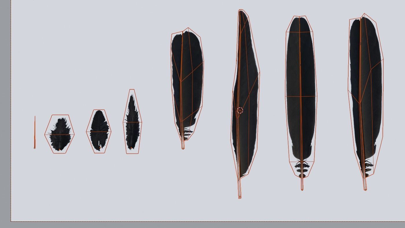 feathers - photoscanned Low-poly 3D model_7