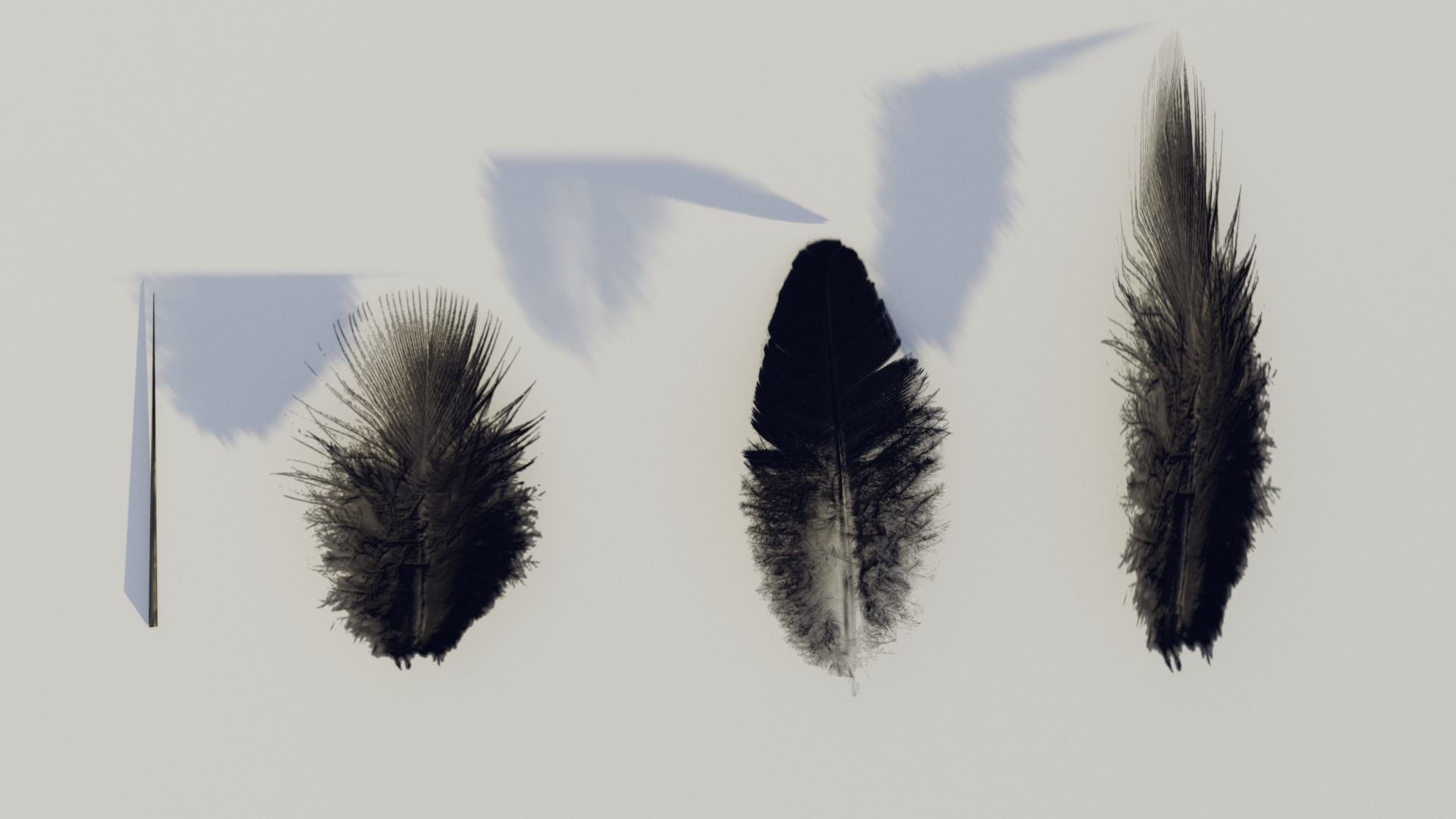 feathers - photoscanned Low-poly 3D model_8