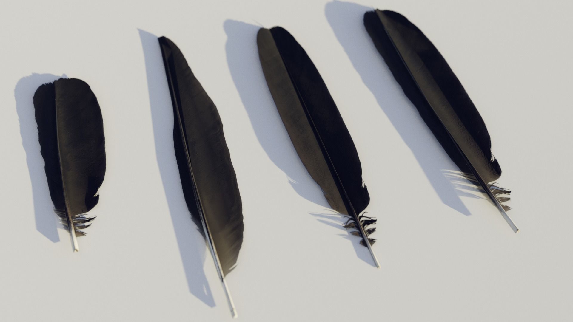 feathers - photoscanned Low-poly 3D model_12