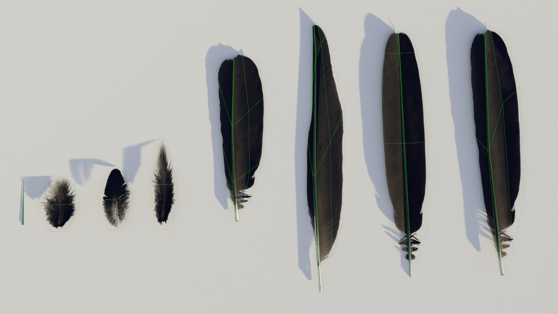 feathers - photoscanned Low-poly 3D model_2