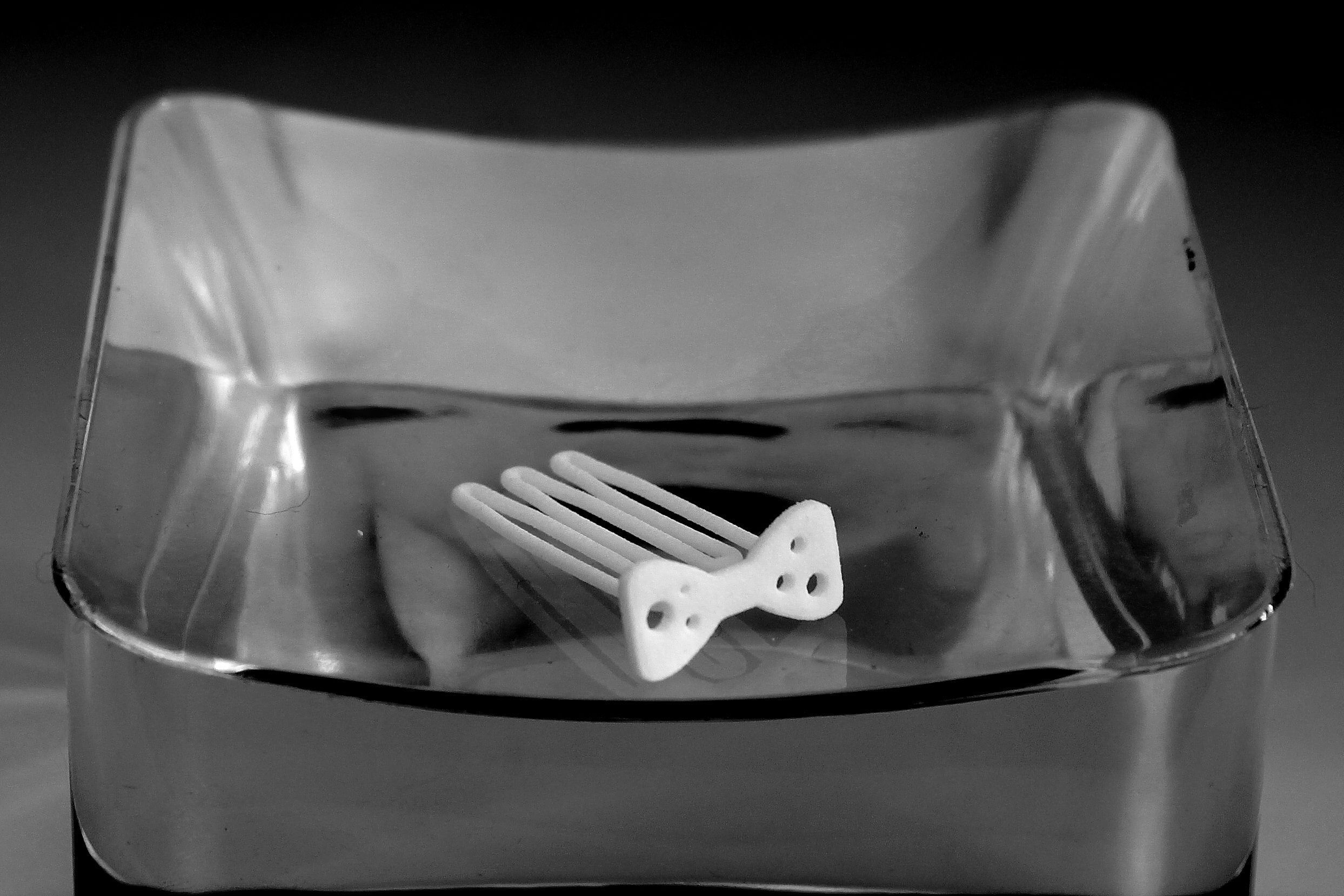 Papillon for beard - front wearing 3D print model_4