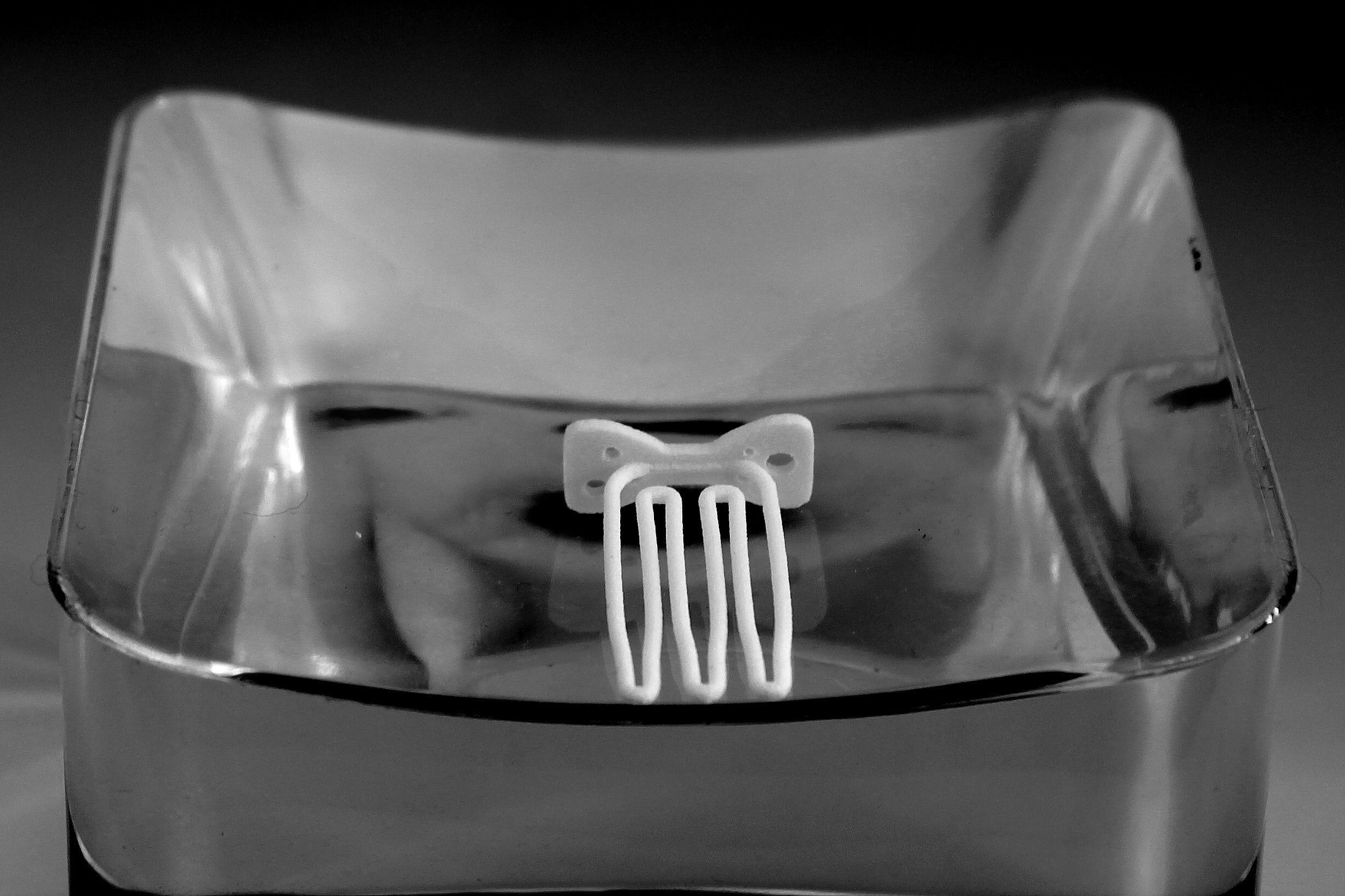 Papillon for beard - front wearing 3D print model_5