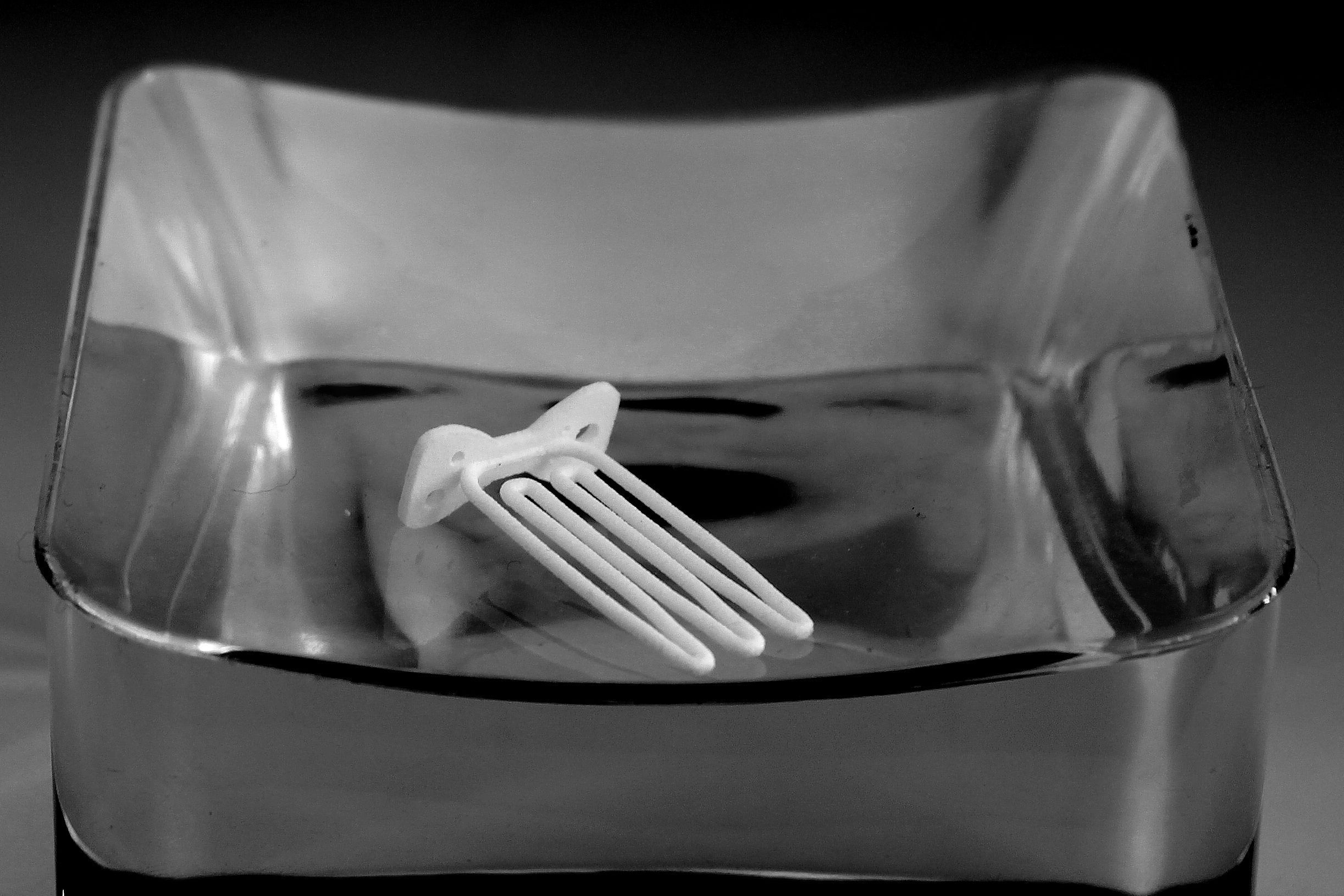 Papillon for beard - front wearing 3D print model_3