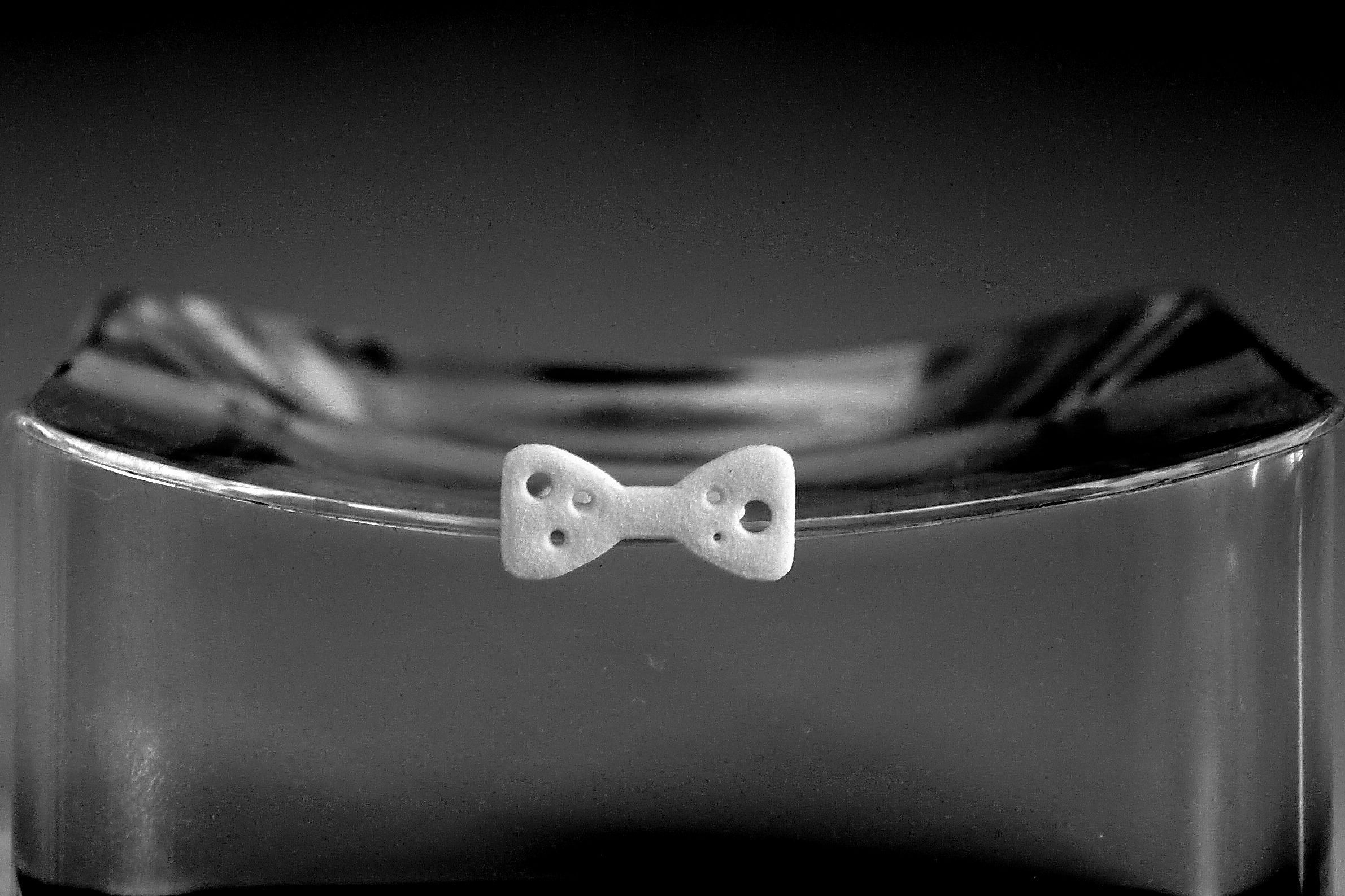 Papillon for beard - front wearing 3D print model_2