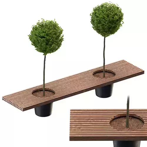 Romeo and juliet bench