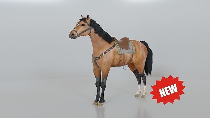 Horse for Riders 3D model