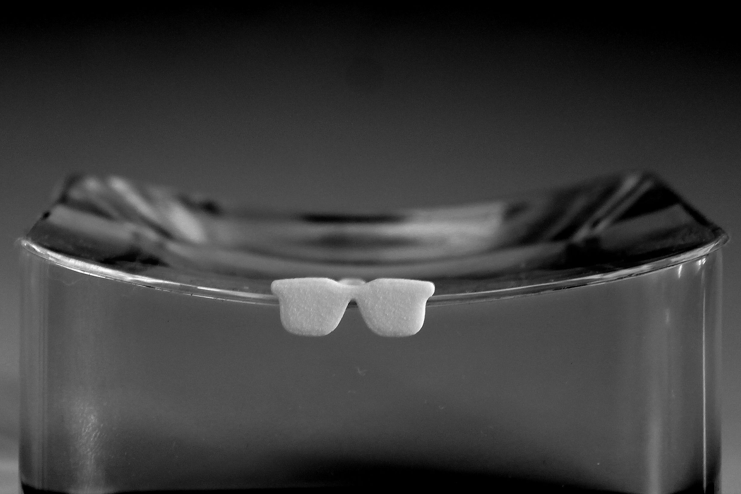 Sunglasses for beard - front wearing 3D print model_2