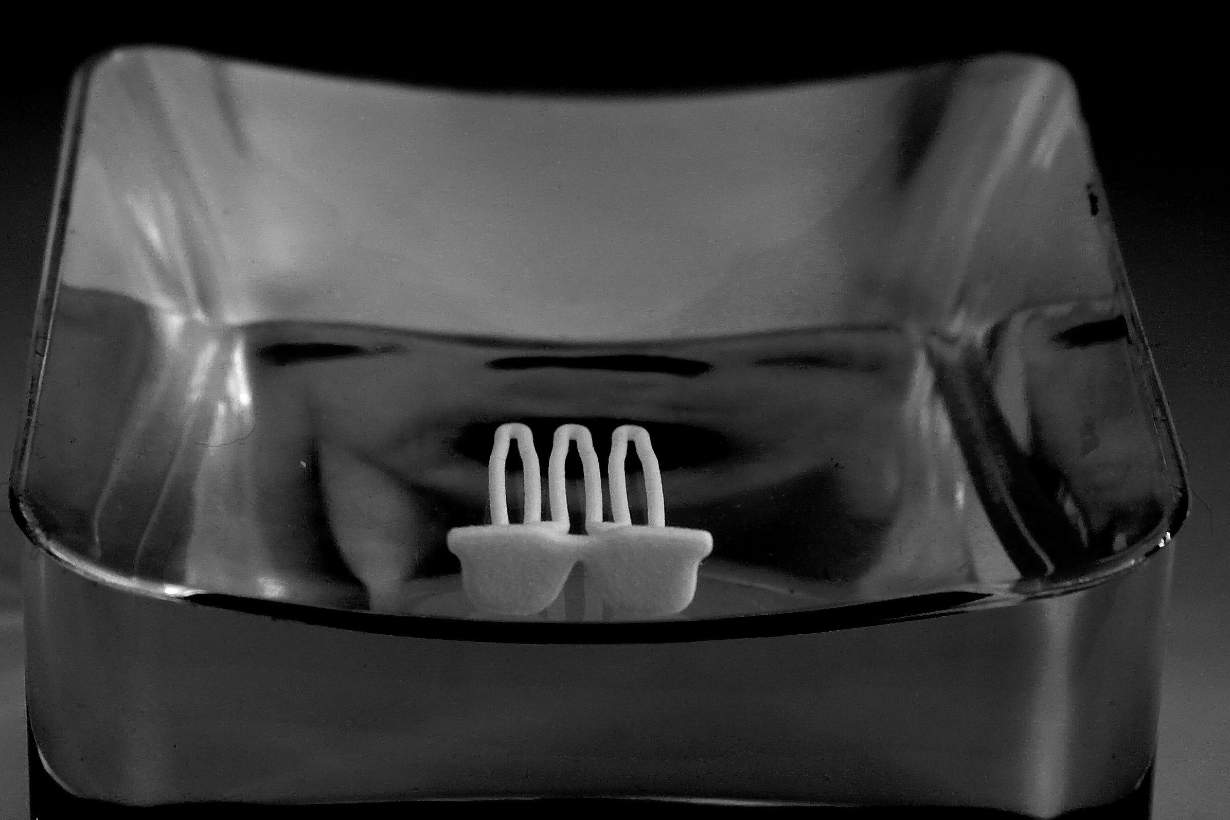 Sunglasses for beard - front wearing 3D print model_5