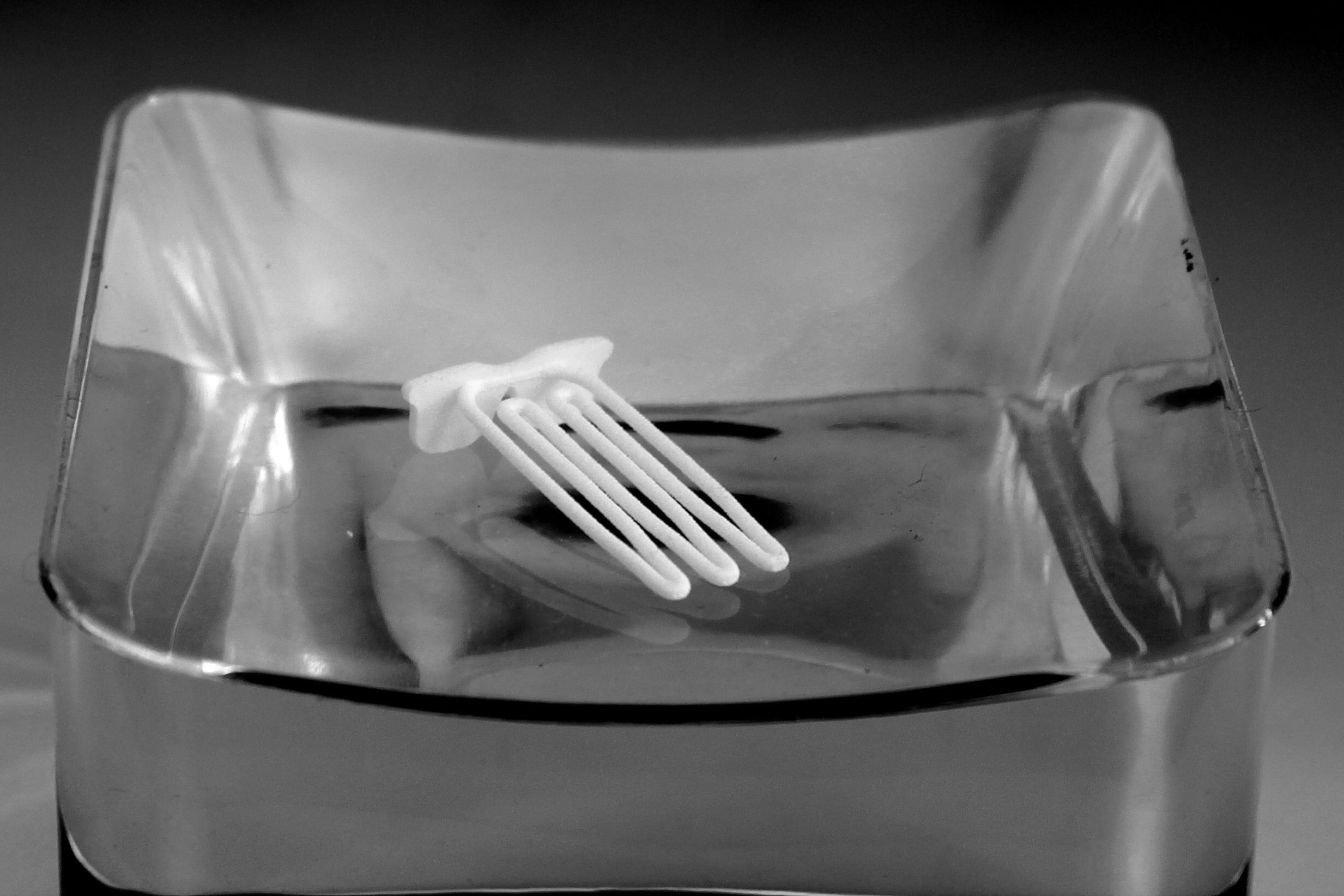 Sunglasses for beard - front wearing 3D print model_4